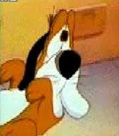 Byron the basset.jpg