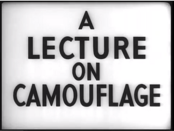 A Lecture on Camouflage