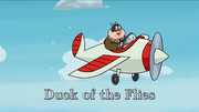 Duck of the Flies