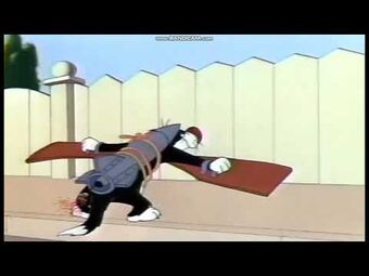 Looney tunes pool 2024 slide