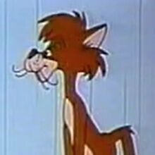Sam Cat Looney Tunes Wiki Fandom Welcome to the official fan page for looney tunes! sam cat looney tunes wiki fandom