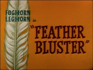 Feather Bluster