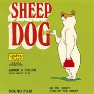 Super 8