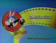 The Bugs Bunny and Tweety Show