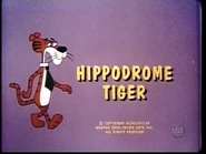 "Hippydrome Tiger"