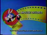 "A Mouse Divided"