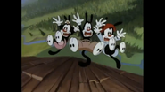 The canyon fall gag from the Animaniacs segment "Gold Rush"