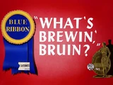 What's Brewin', Bruin?