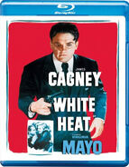 Lt wh blu.jpg (77 KB) (2013) Blu-ray White Heat (same print as Golden Collection: Volume 3)