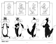 Sylvester Model Sheet