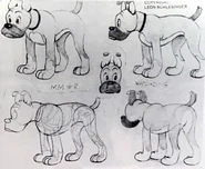 Model sheet