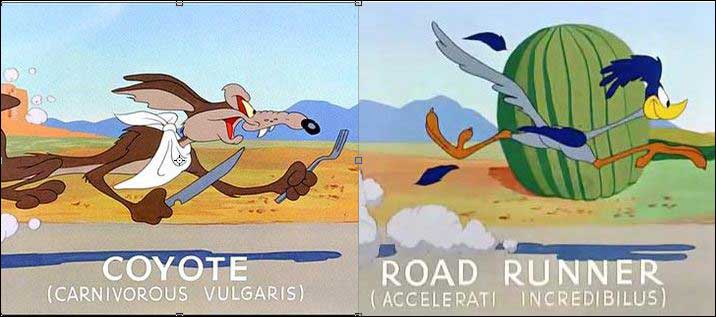 Zoom and Bored” Transports the Road Runner and Coyote to a Realm