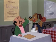 They often show their upper teeth, too.