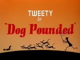 Dog Pounded
