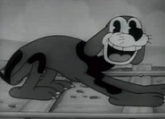 Bruno
