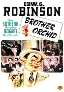 (2008) DVD Brother Orchid (USA 1995 Turner print)