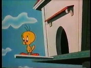 Tweety waiting outside his birdhouse