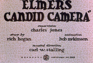 Believe It or Else | Looney Tunes Wiki | Fandom