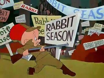 Rabbit Seasoning Looney Tunes Wiki Fandom