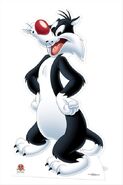 Sylvester The Cat Looney Tunes cardboard cutout buy now at starstills 91958.1404458401.475.659