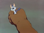 Cannon lion.jpg (189 KB) Cannon often make the characters look in front, with shaped round faces.