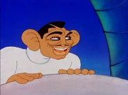 The CooCoo Nut Grove