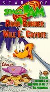 StarsOfSpaceJam RoadRunnerAndCoyote