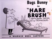 "Hare Brush"