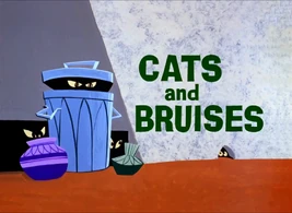 CatsAndBruisesTitle