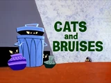 Cats and Bruises
