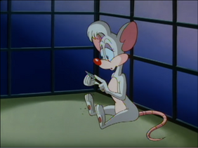 Billie is a Mouse.png