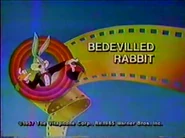 The Bugs Bunny and Tweety Show