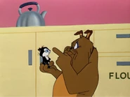 Marc Anthony warning Pussyfoot 1.