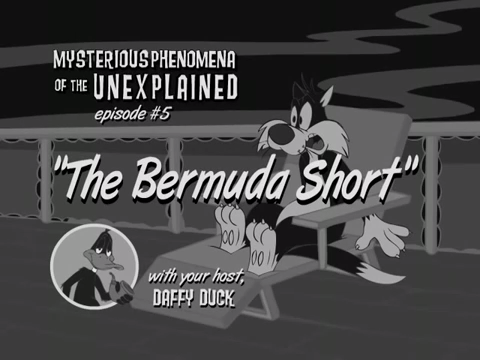 The Bermuda Short, Looney Tunes Wiki