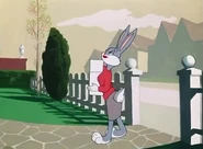 Daisy lola 3.jpg (53 KB)