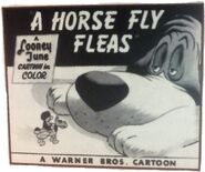 "A Horse Fly Fleas"