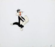 Animation cel