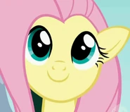 Rarity7Best (Disabled Account)