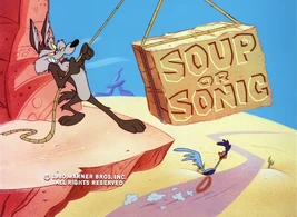 SoupOrSonicTitle