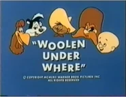 The Road Runner Show