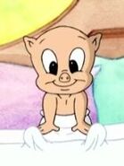 Baby Porky