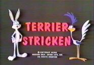 Terrier-Stricken