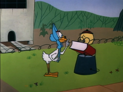Eggbert, Looney Tunes Wiki