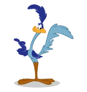 Road Runner