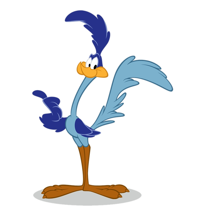 road runner cartoon running