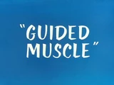 Guided Muscle