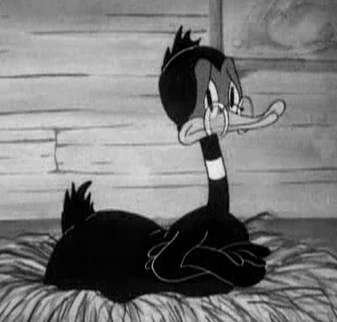 Daffy Duck Black And White