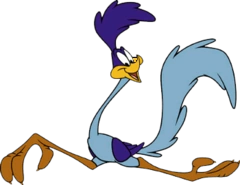 Road Runner