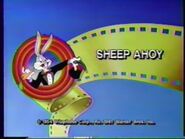 The Bugs Bunny & Tweety Show