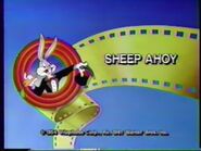 The Bugs Bunny & Tweety Show